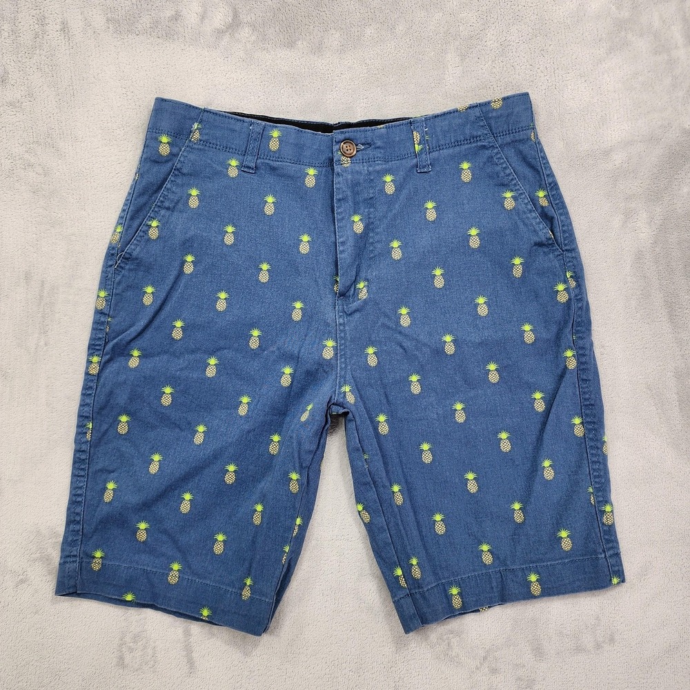 Plugg Shorts Mens 30 Blue Pineapple Print Flex Chino 10 Inseam Bermuda Tropical